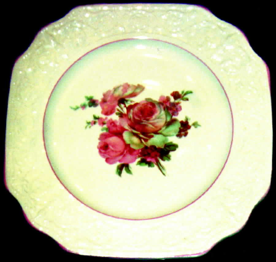 BUL7 Square Dinner Plate by Burgess & Leigh-1