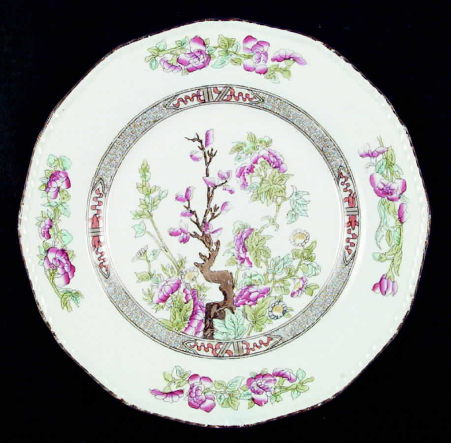 Indian Tree Dinner Plate by Burgess & Leigh-1