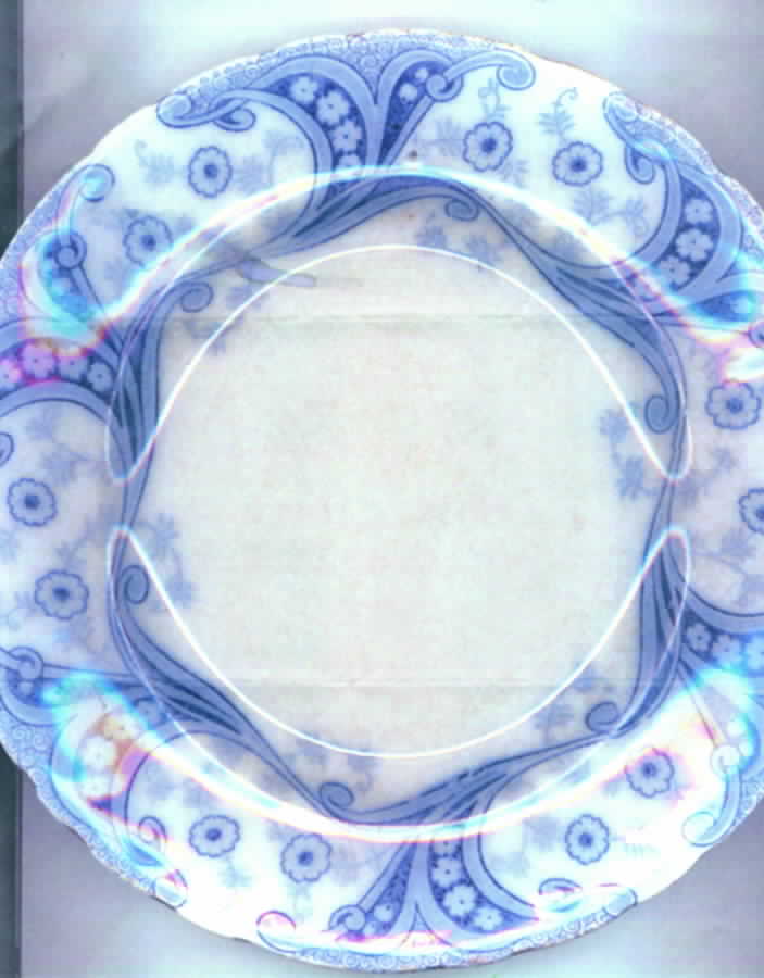 Richmond Dinner Plate by Burgess & Leigh-1