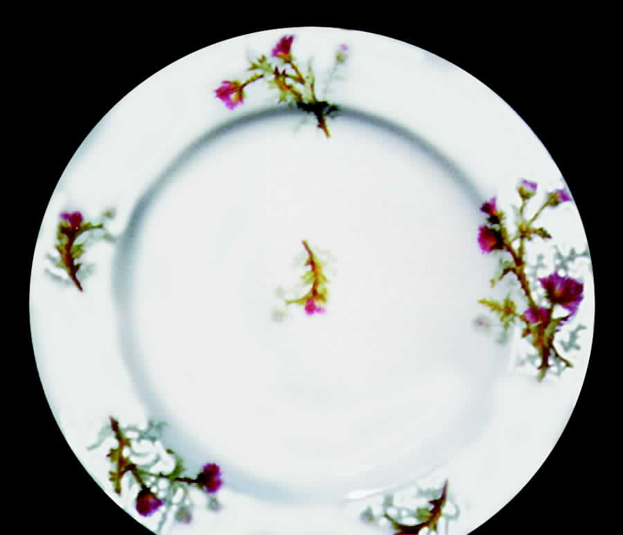 BWD115 Dinner Plate by Bawo & Dotter-1