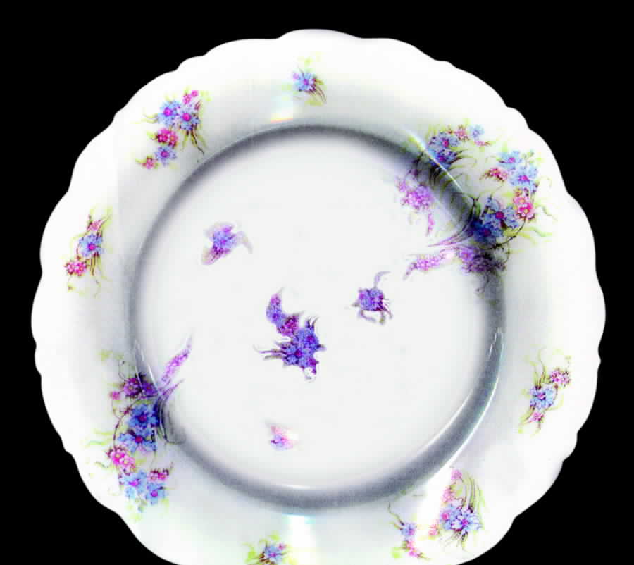 BWD118 Luncheon Plate by Bawo & Dotter-1