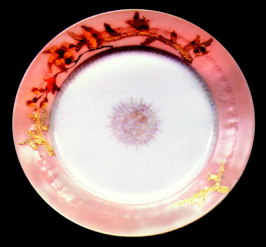 BWD131 Dinner Plate by Bawo & Dotter-1