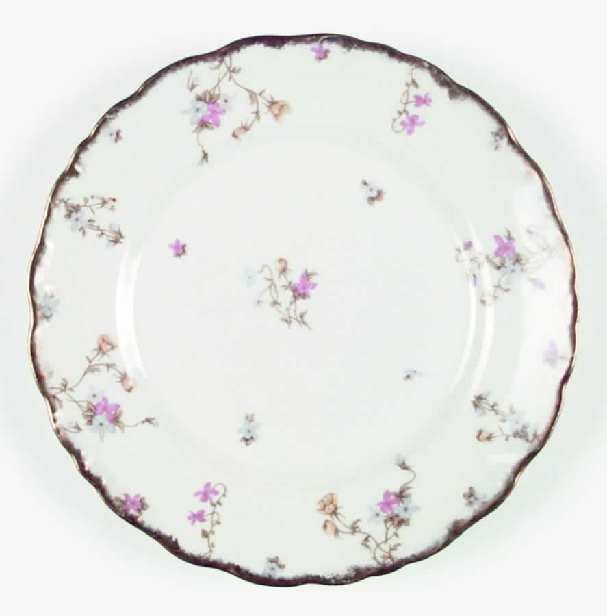 BWD29 Dinner Plate by Bawo & Dotter-1