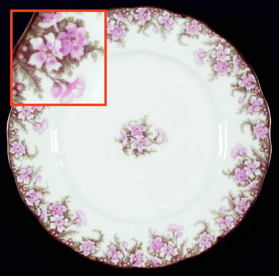 BWD48 Dinner Plate by Bawo & Dotter-1