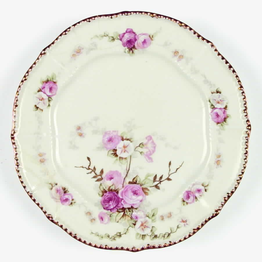 BWD59 Dinner Plate by Bawo & Dotter-1