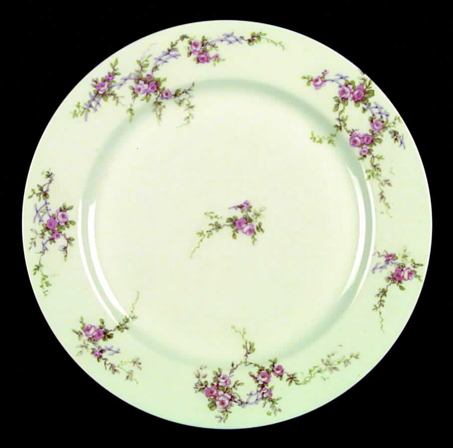 BWD6 Dinner Plate by Bawo & Dotter-1