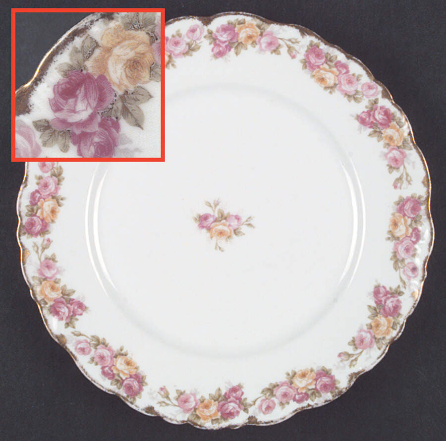 BWD96 Dinner Plate by Bawo & Dotter-1