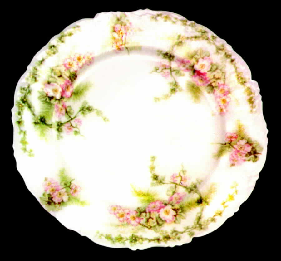 BWD99 Dinner Plate by Bawo & Dotter-1