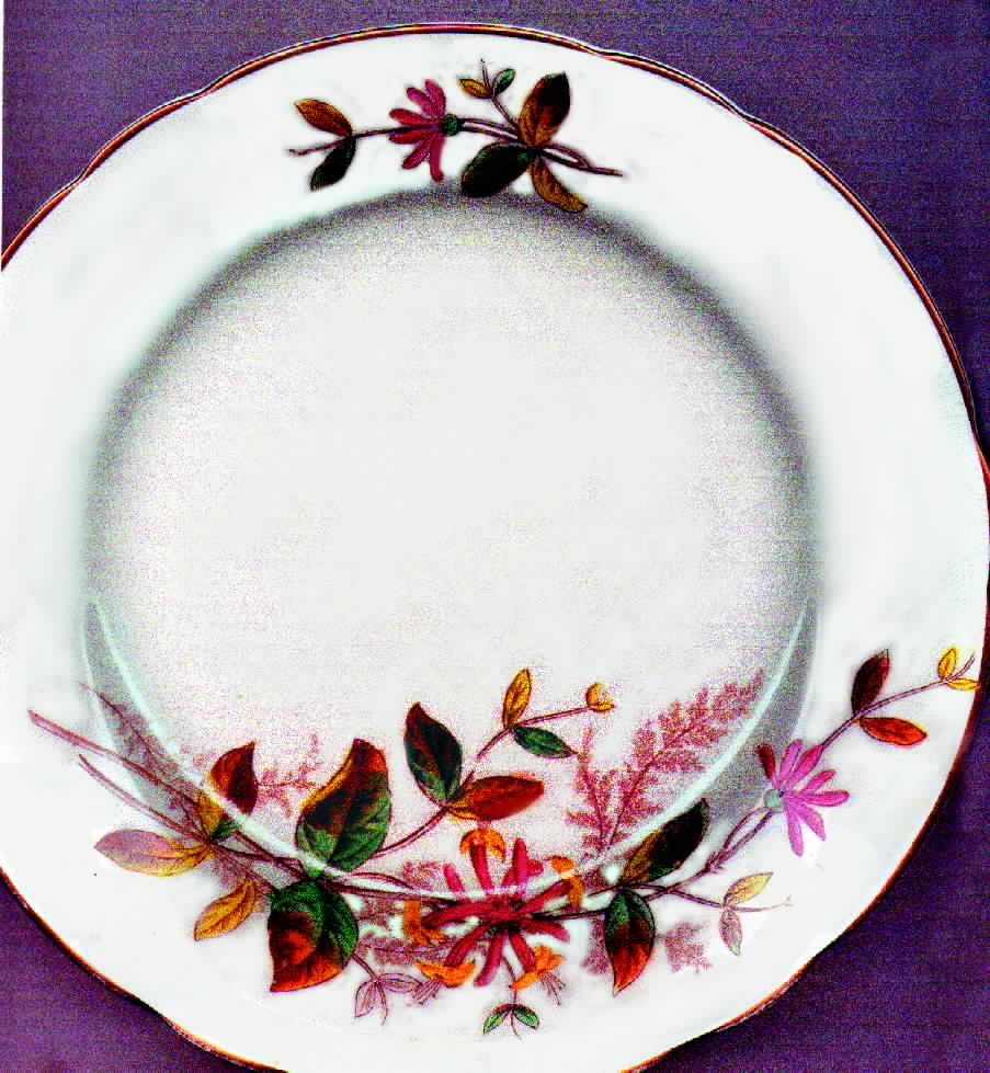 BRD4 Luncheon Plate by Bridgwood & Son-1