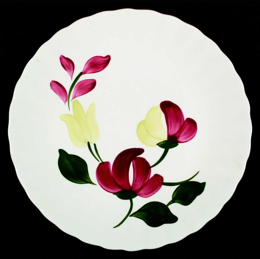 Chatam Dinner Plate by Blue Ridge Southern Pottery-1