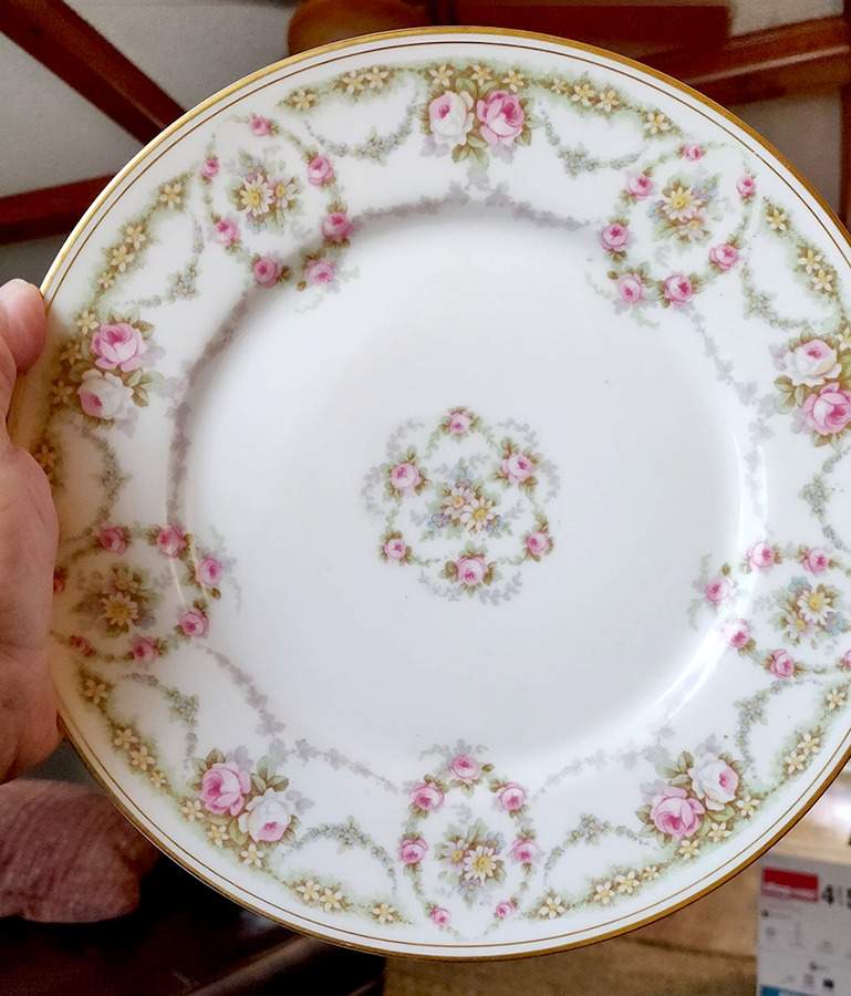BWD141 Dinner Plate by Bawo & Dotter-1