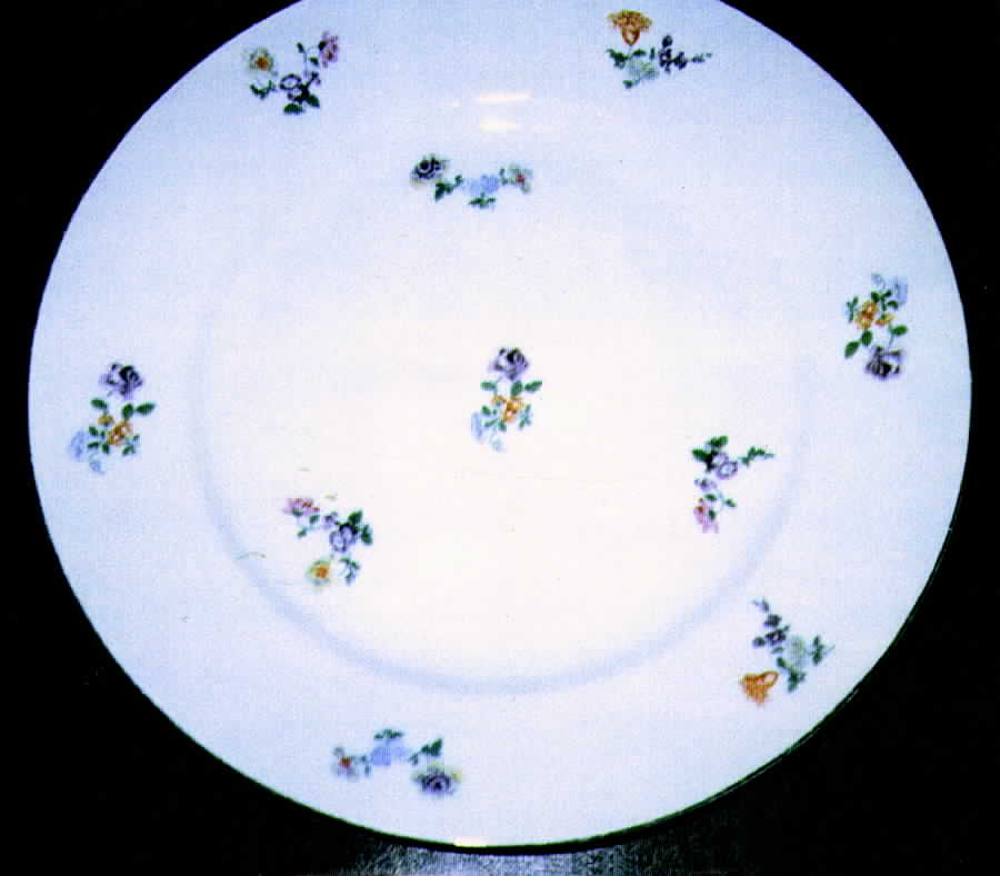 BCO3 Dinner Plate by Bloch & Co-1
