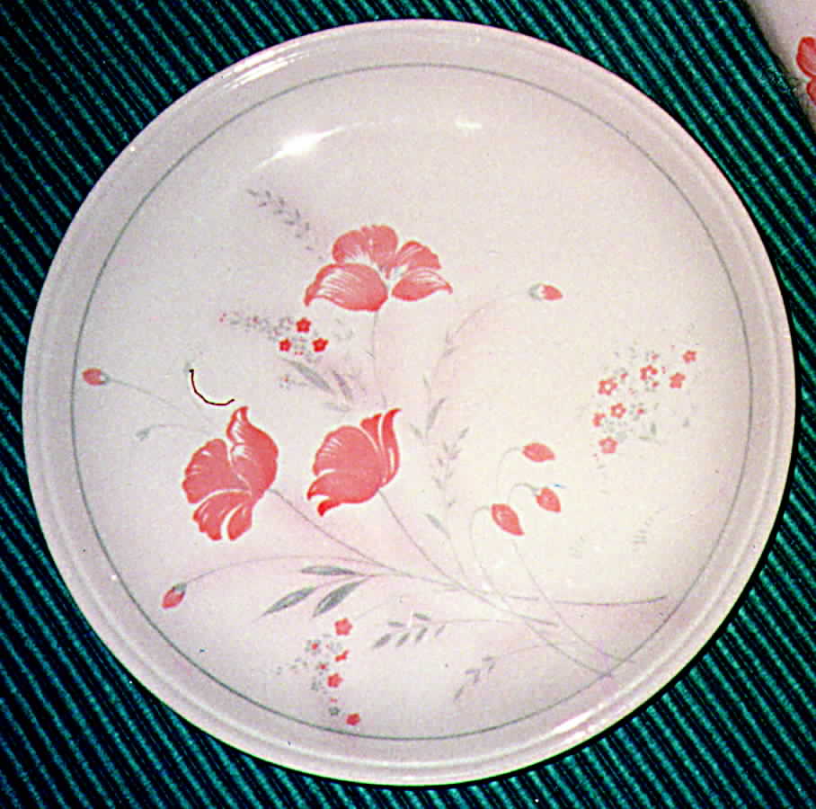 BIL5 Dinner Plate by Biltons Ltd-1