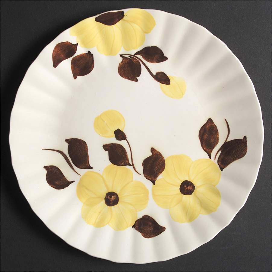 Delta Daisy Dinner Plate by Blue Ridge Southern Pottery-1