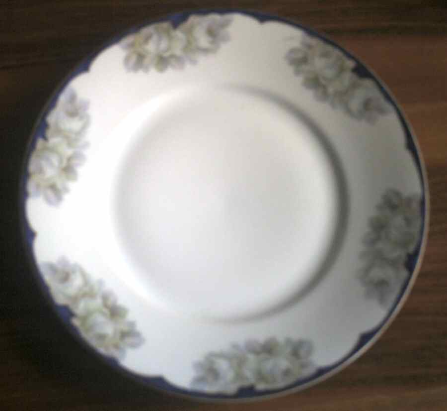 Victoria Dinner Plate by Beyer & Bock-1