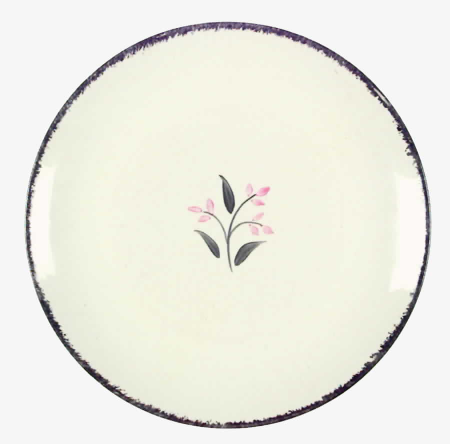 BRP48 Dinner Plate by Blue Ridge Southern Pottery-1