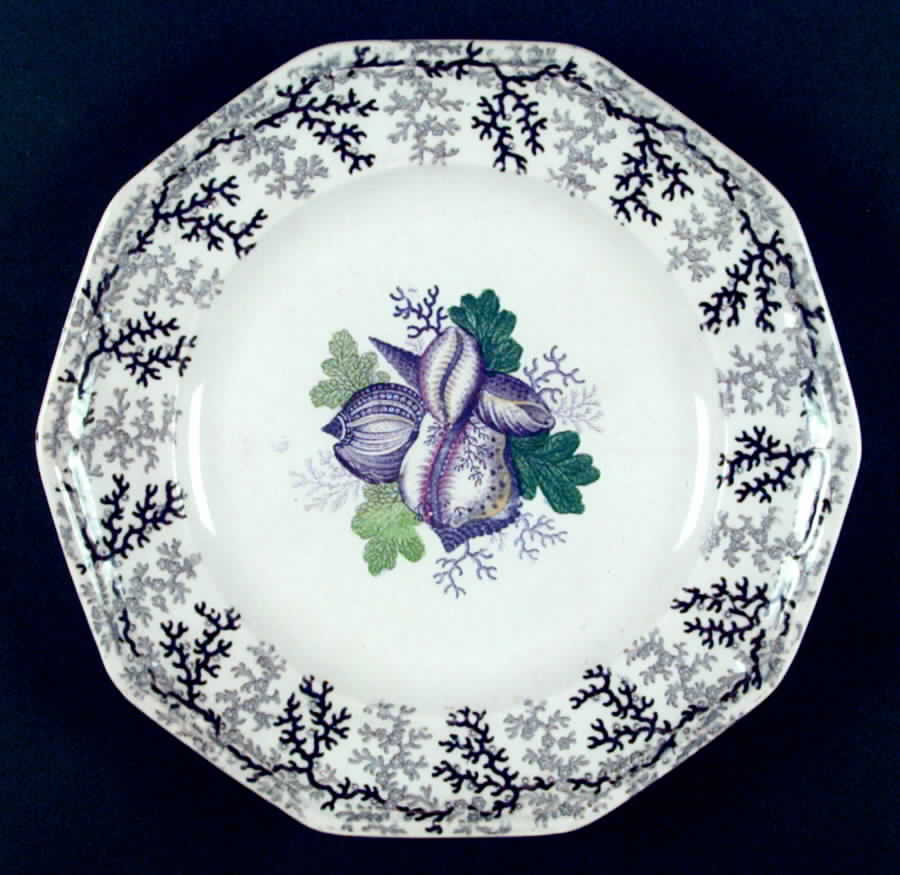 Coral Dinner Plate by Broadhurst-1
