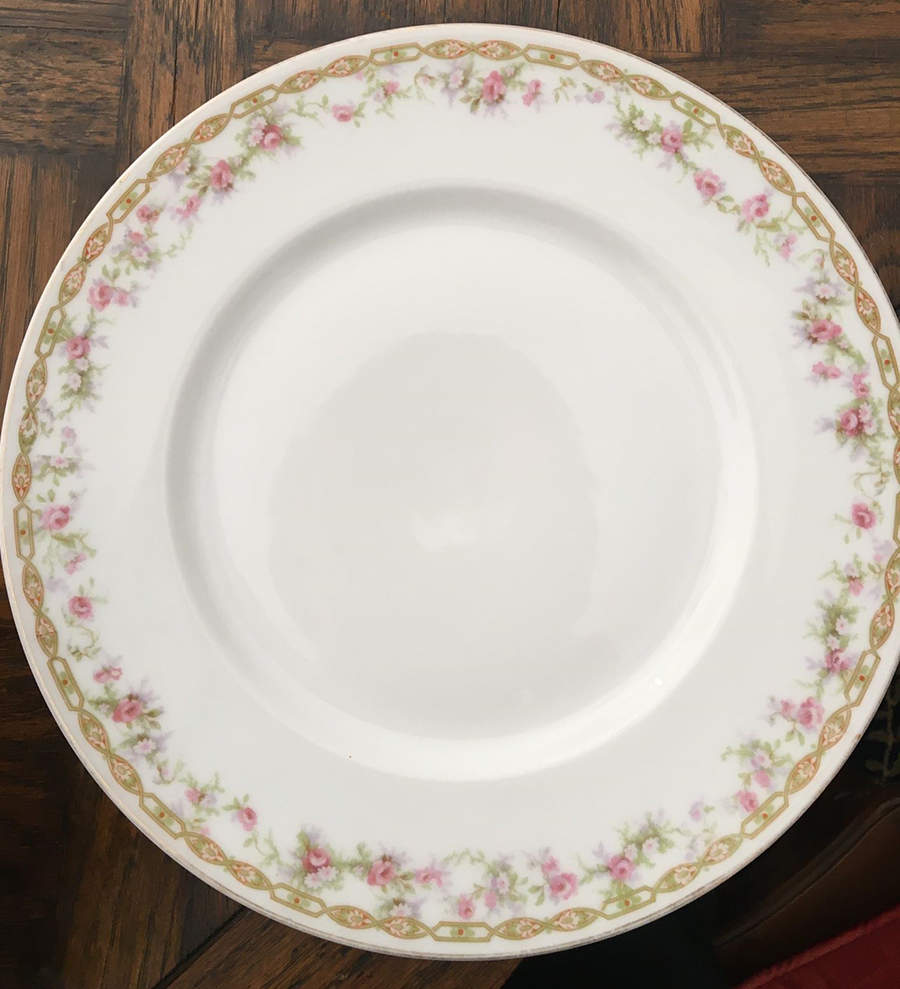 BER147 Dinner Plate by Bernardaud-1