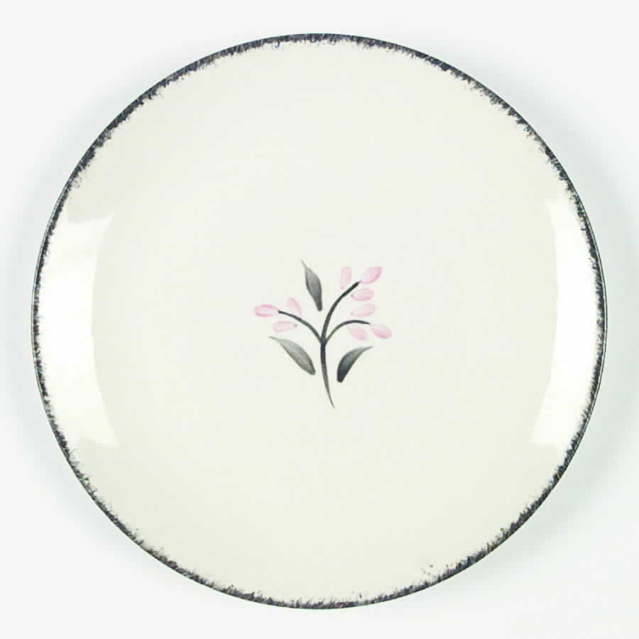 BRP51 Dinner Plate by Blue Ridge Southern Pottery-1