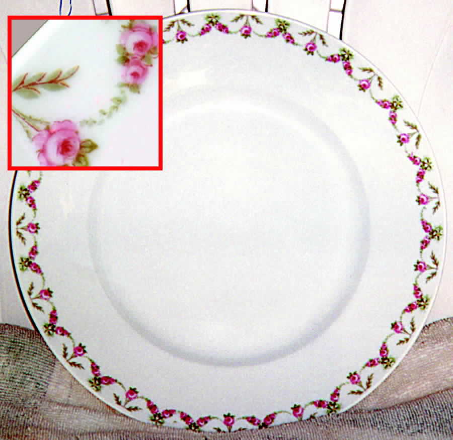 BER150 Dinner Plate by Bernardaud-1