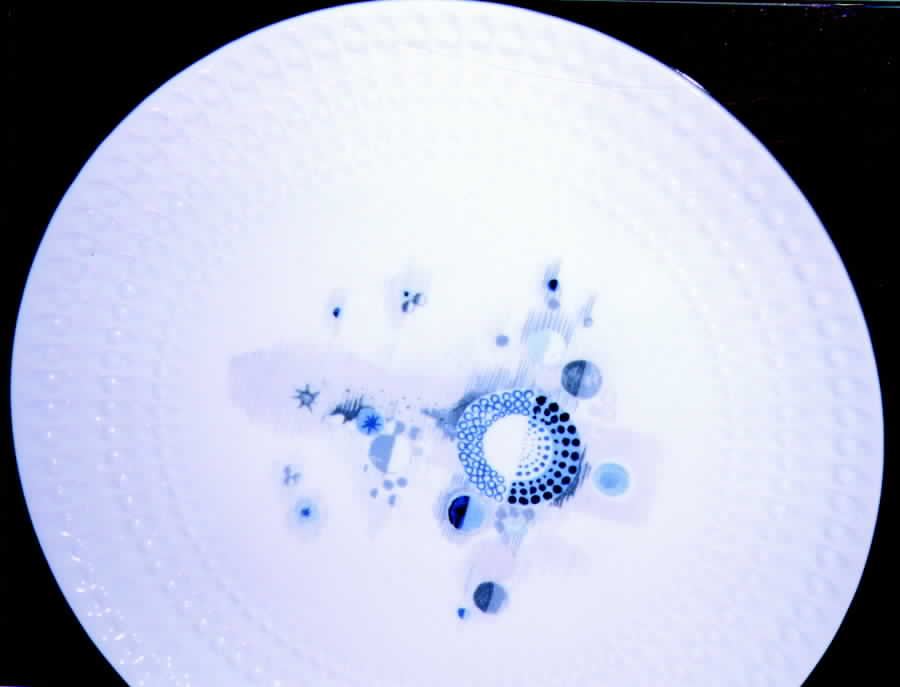 Rhea Dinner Plate by Bernardaud-1