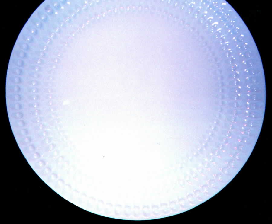 Encelade Dinner Plate by Bernardaud-1
