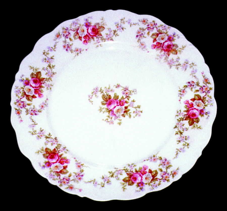 BWD163 Dinner Plate by Bawo & Dotter-1