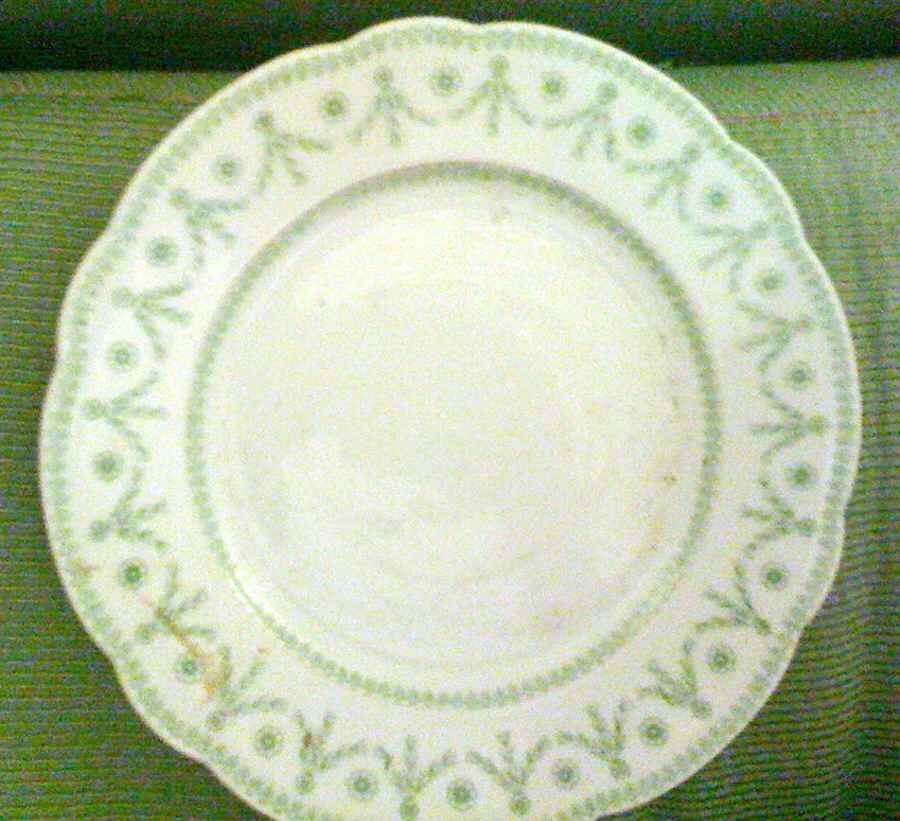 BER163 Salad Plate by Bernardaud-1