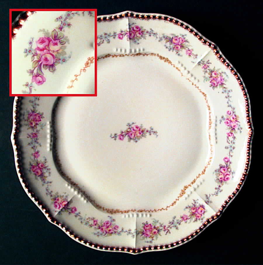 BWD171 Dinner Plate by Bawo & Dotter-1