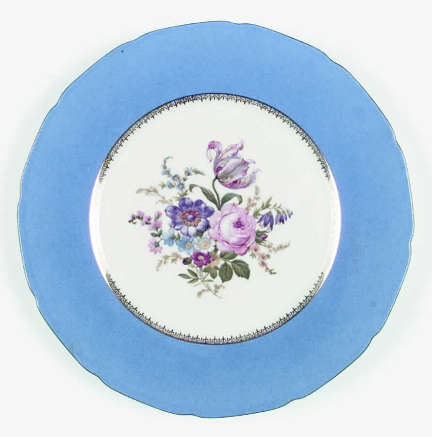 BAR23 Dinner Plate by Baronet-1
