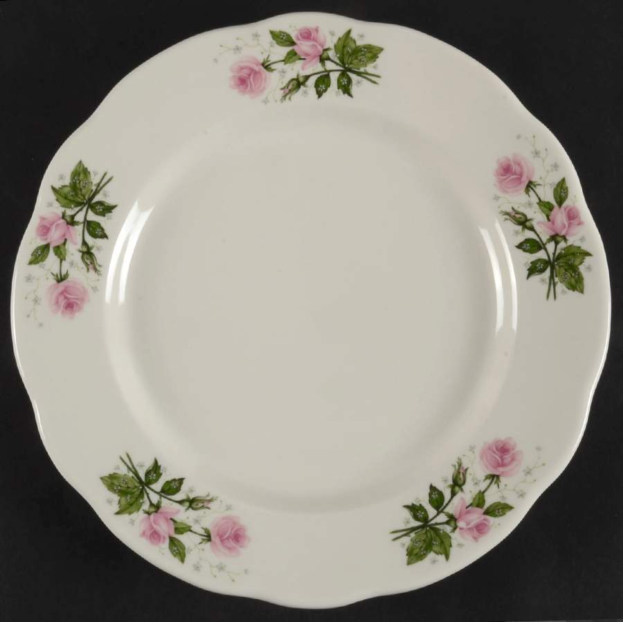 BUF50 Dinner Plate by Buffalo Pottery-1