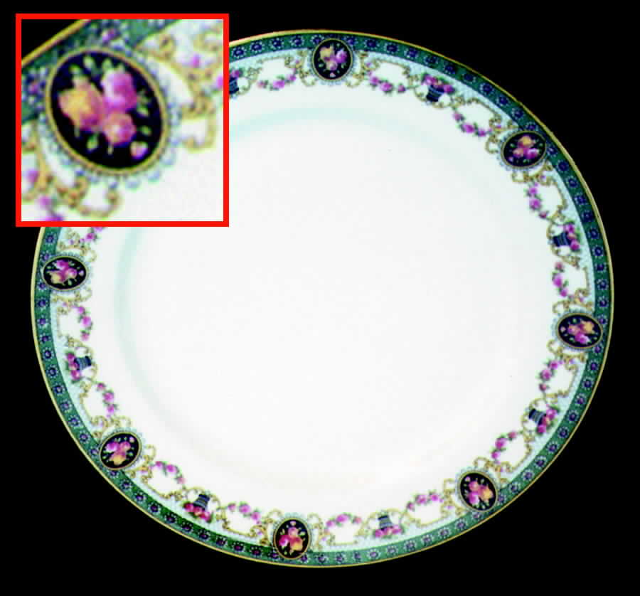 BWD177 Dinner Plate by Bawo & Dotter-1