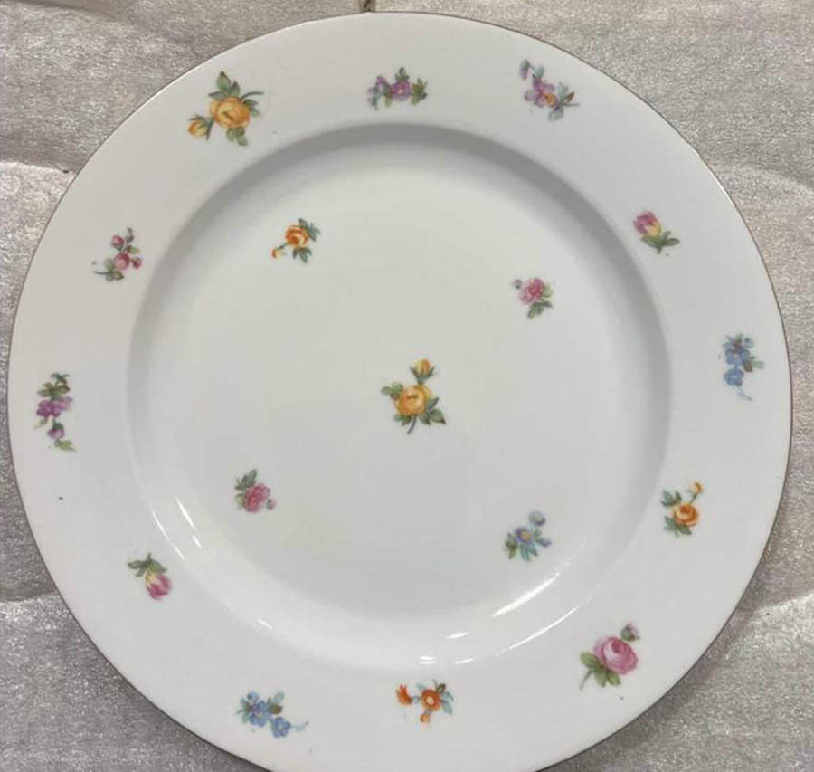 BAV47 Dinner Plate by Bavaria-1