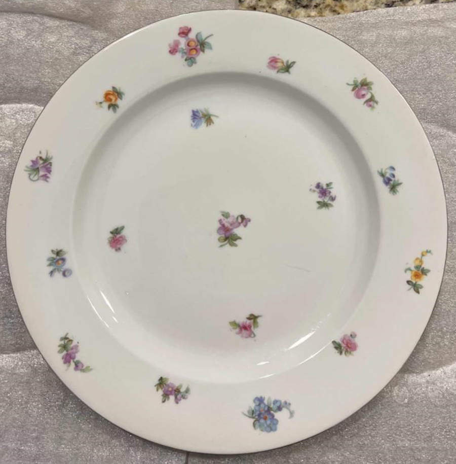 BAV47 Dinner Plate by Bavaria-1