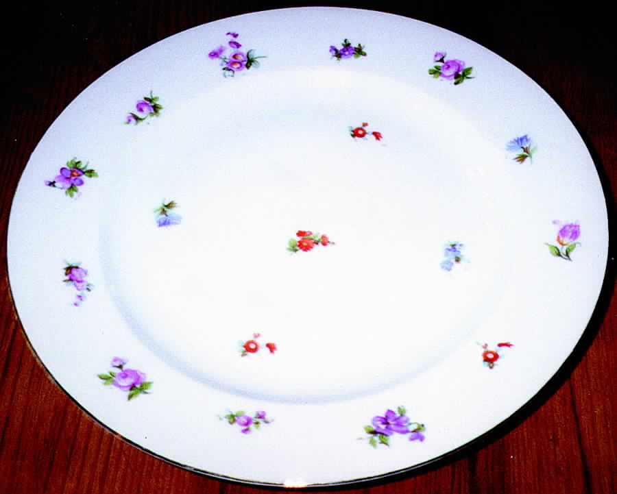 BAV47 Dinner Plate by Bavaria-1