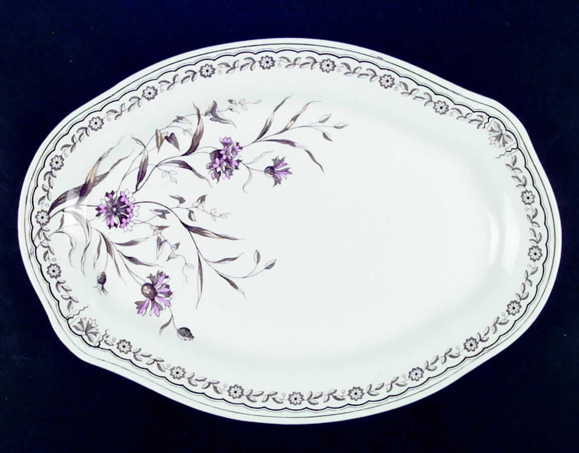 1890 15" Oval Serving Platter by T & R Boote-1