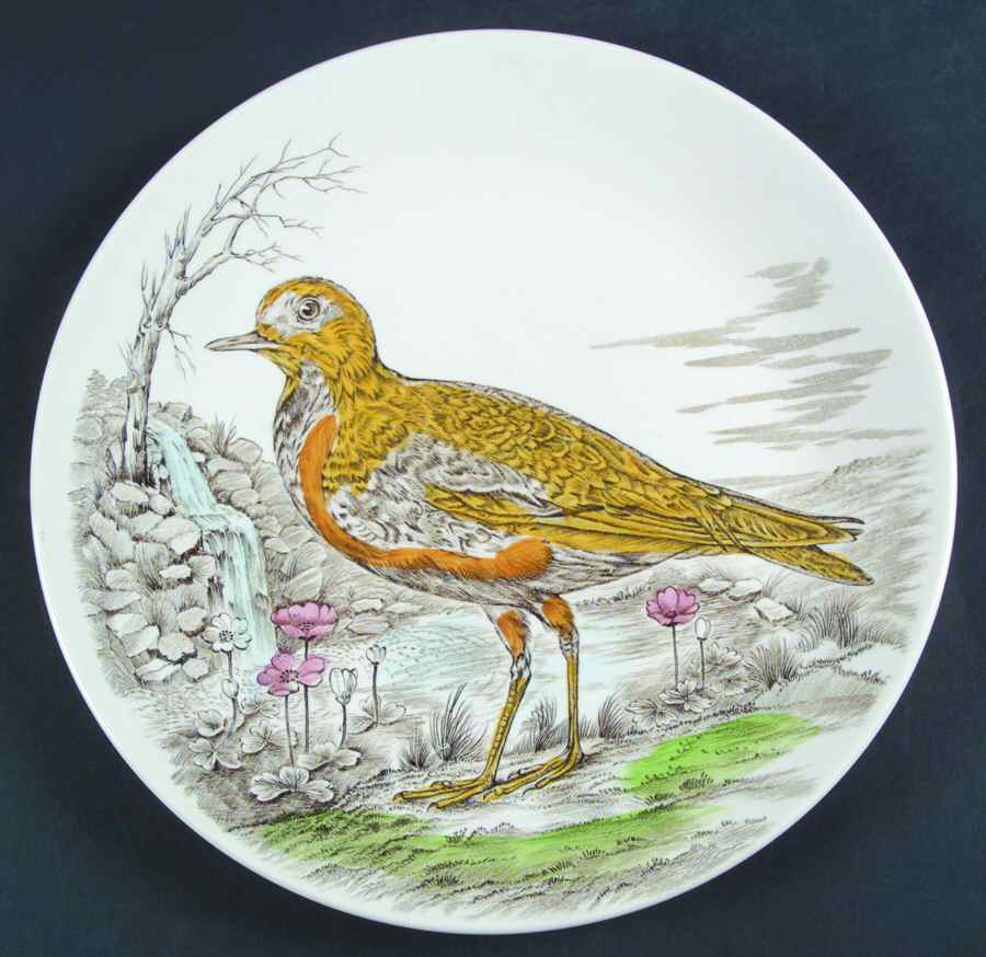 Wild Bird Dinner Plate by British Anchor-1