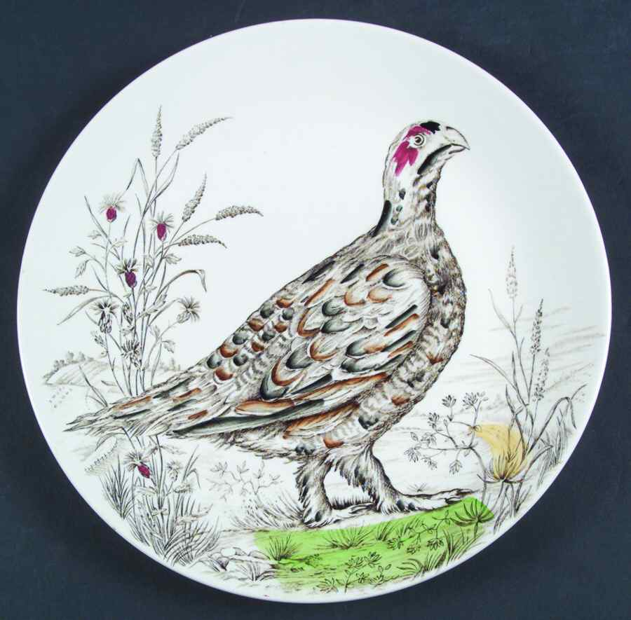 Wild Bird Dinner Plate by British Anchor-1