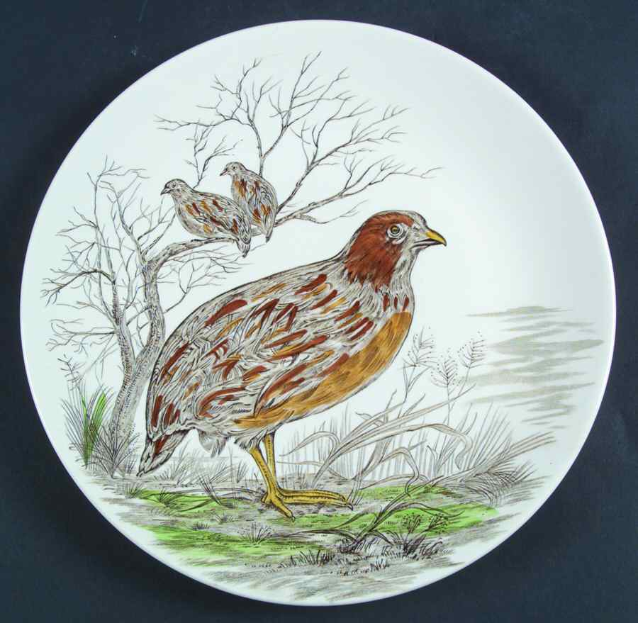 Wild Bird Dinner Plate by British Anchor-1