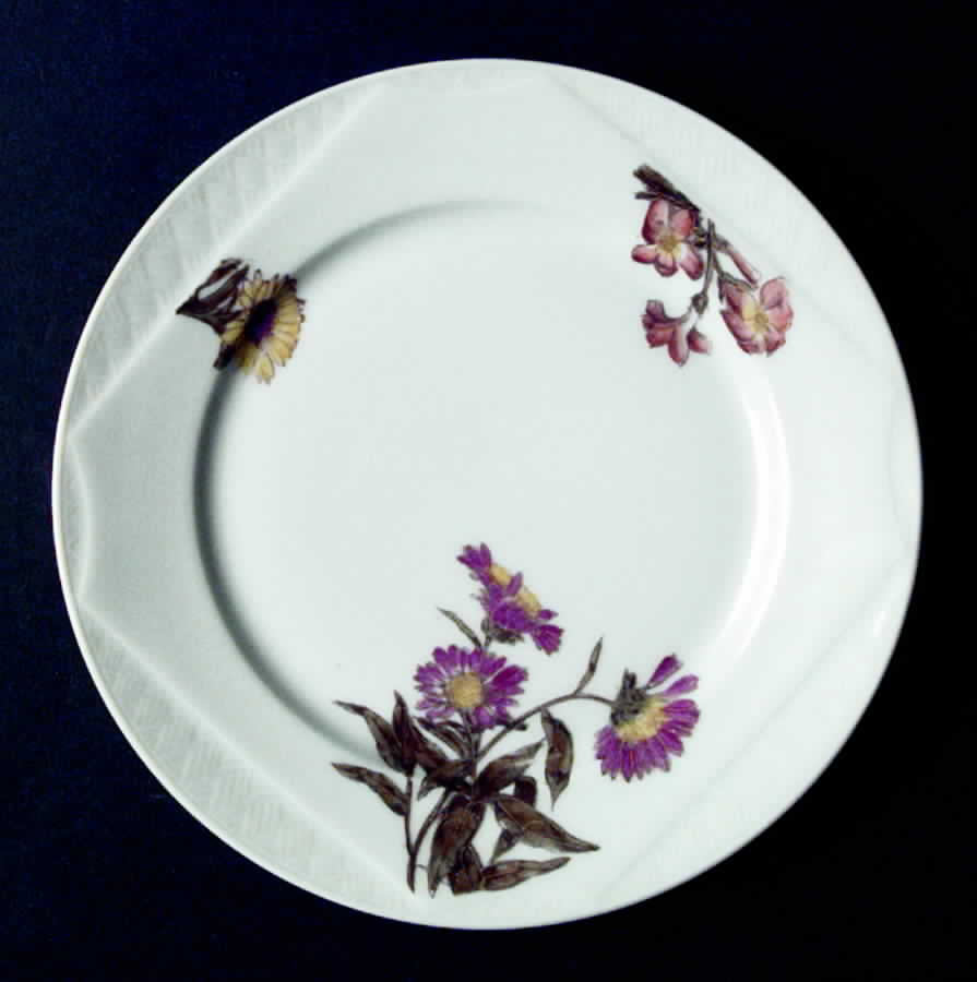 BWD181 Salad Plate by Bawo & Dotter-1