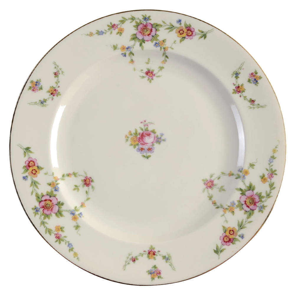 BAR25 Dinner Plate by Baronet-1