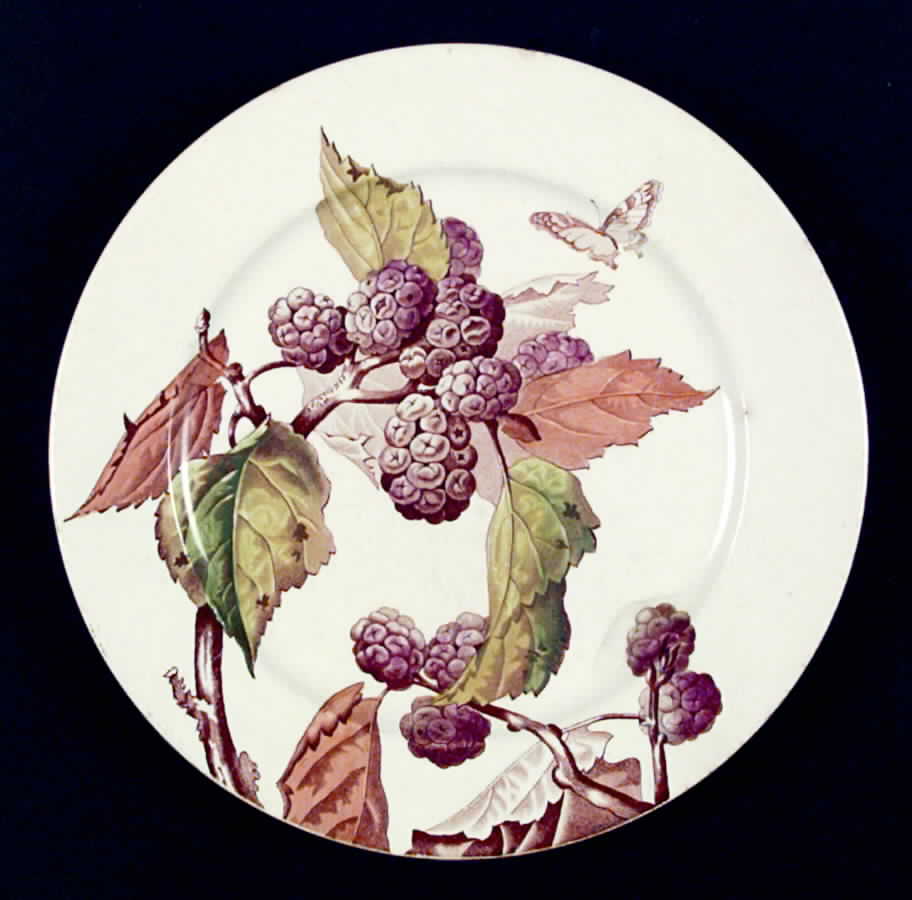 H1689 Dinner Plate by Brown, Westhead & Moore-1