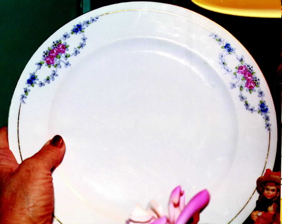 BAV49 Dinner Plate by Bavaria-1