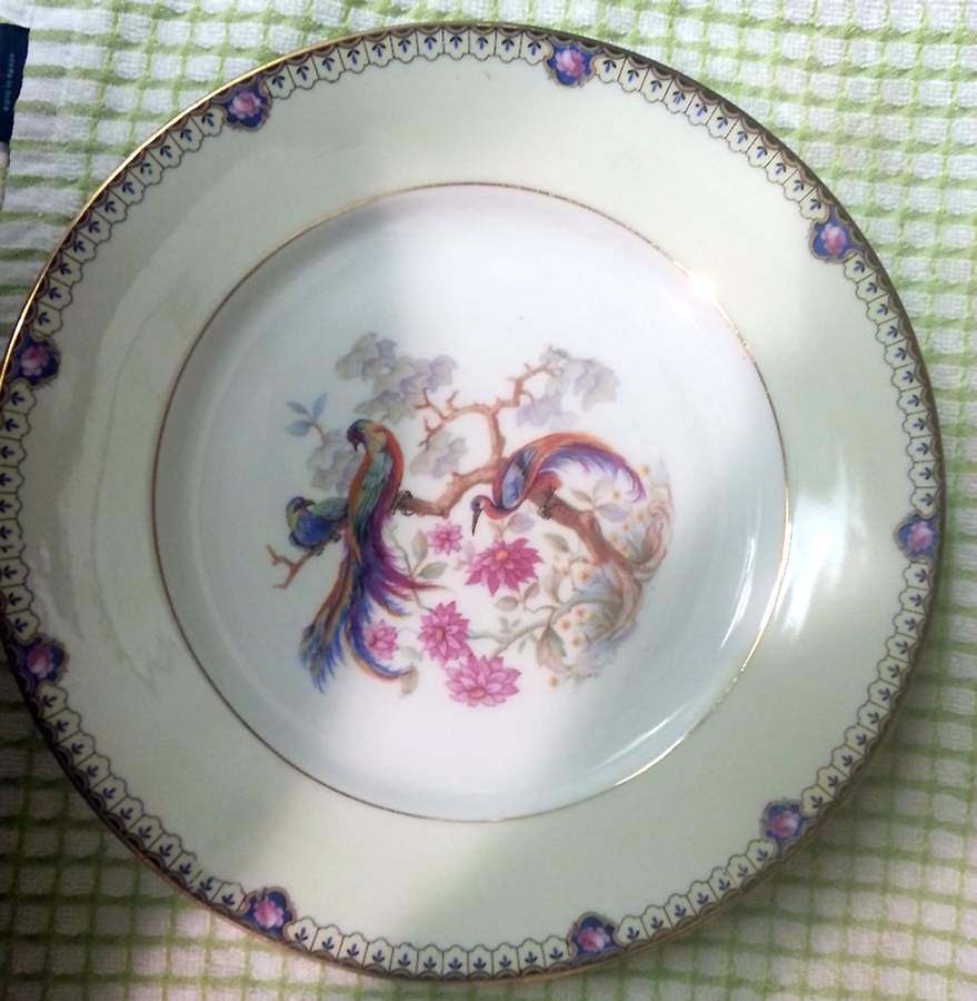 8586 Dinner Plate by Bloch & Co-1