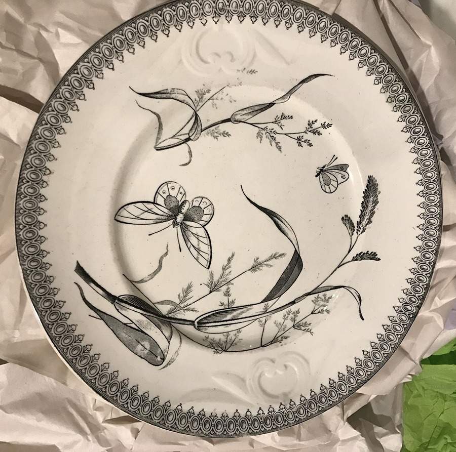 Summer Time Black Dinner Plate by T & R Boote-1