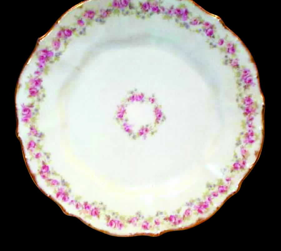 BWD195 Dinner Plate by Bawo & Dotter-1