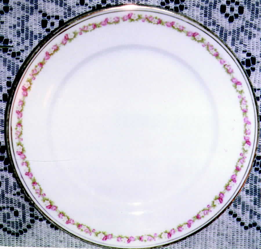 TIR749 Dinner Plate by Tirschenreuth-1
