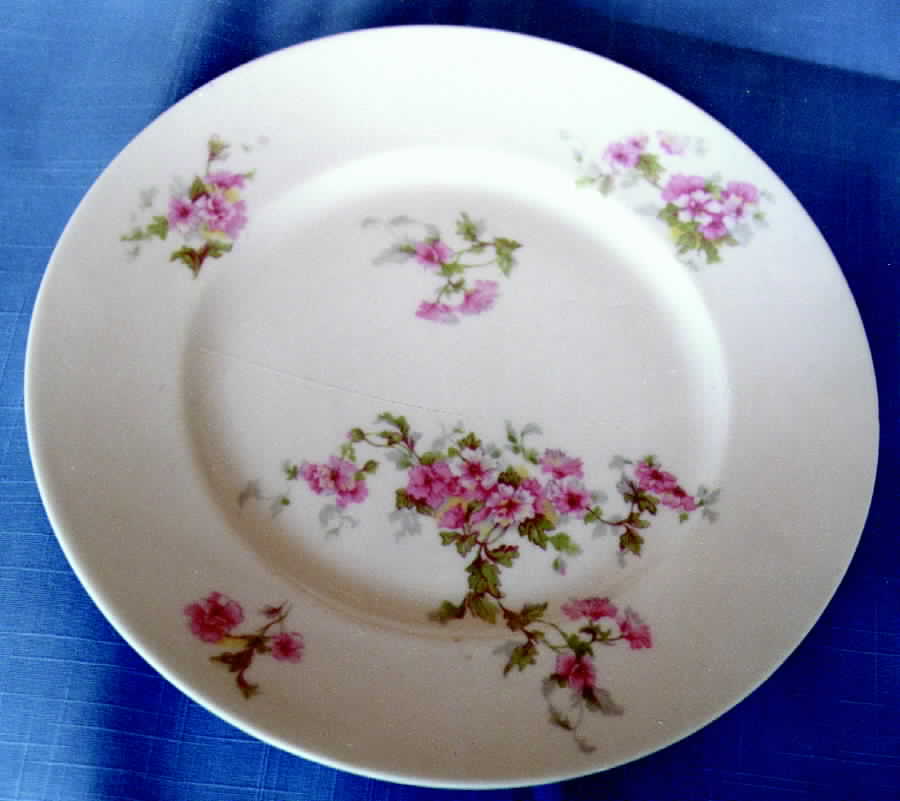 BER183 Dinner Plate by Bernardaud-1