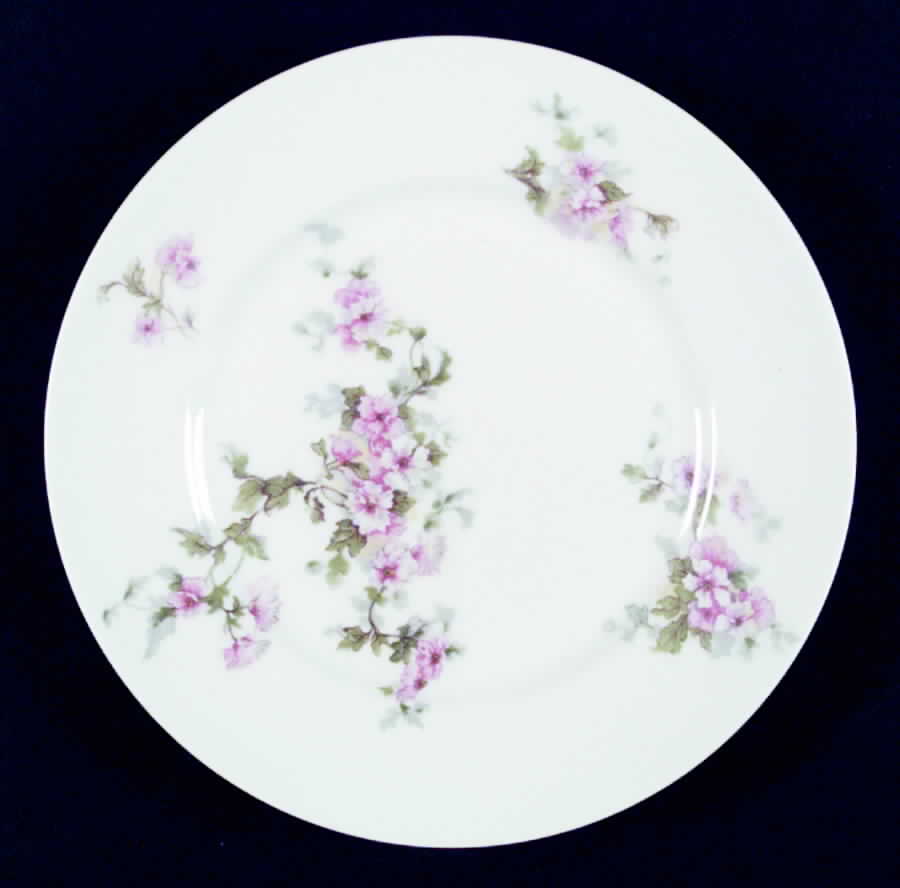 BER183 Salad Plate by Bernardaud-1