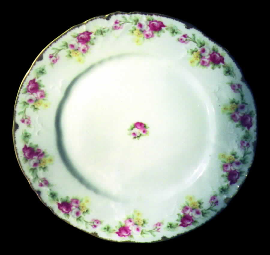 BWD204 Dinner Plate by Bawo & Dotter-1